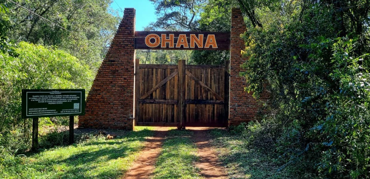 Imagen de portada para Misiones tendrá su primer hospital veterinario de alta complejidad para fauna silvestre