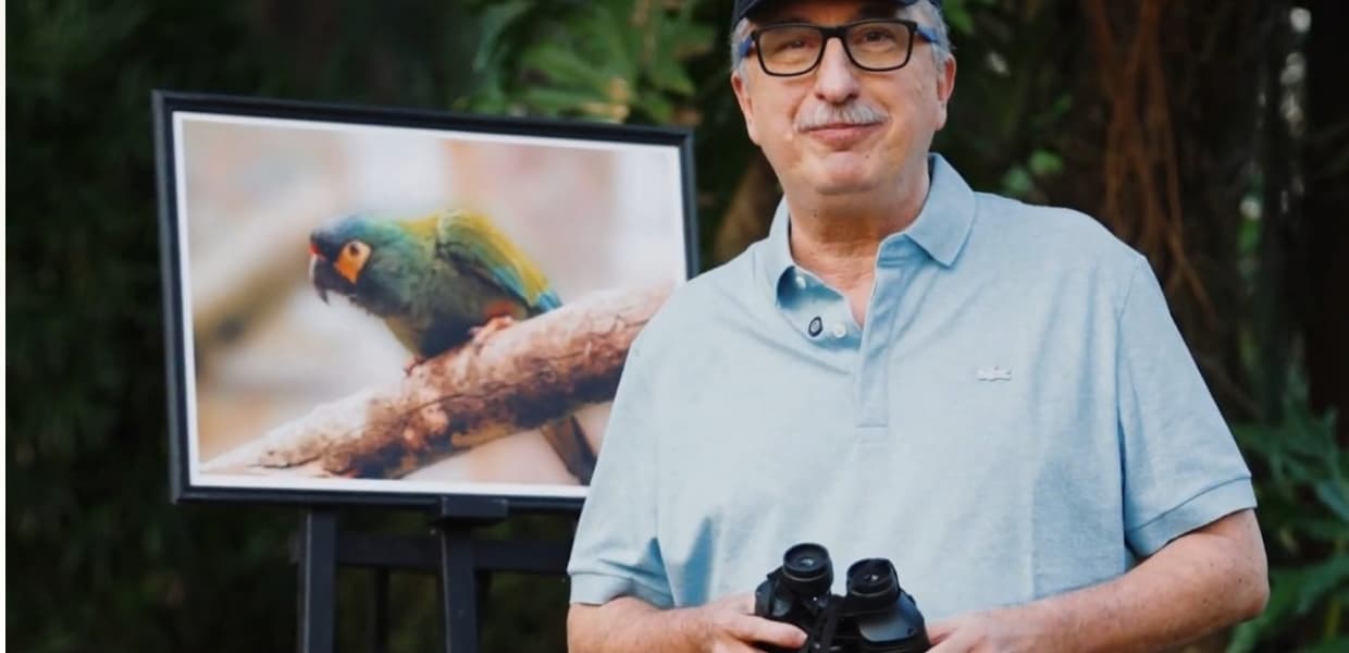 Imagen de portada para Misiones se prepara para Volar 2025, el primer encuentro internacional de observación de aves