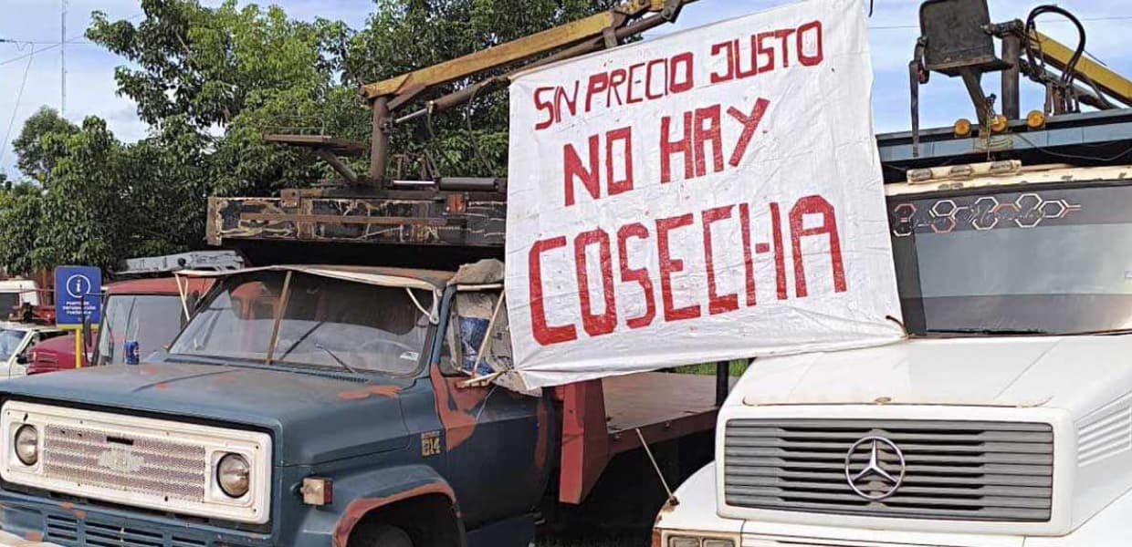 Imagen de portada para Ahogados por la crisis, productores yerbateros exigen la emergencia del sector en Misiones