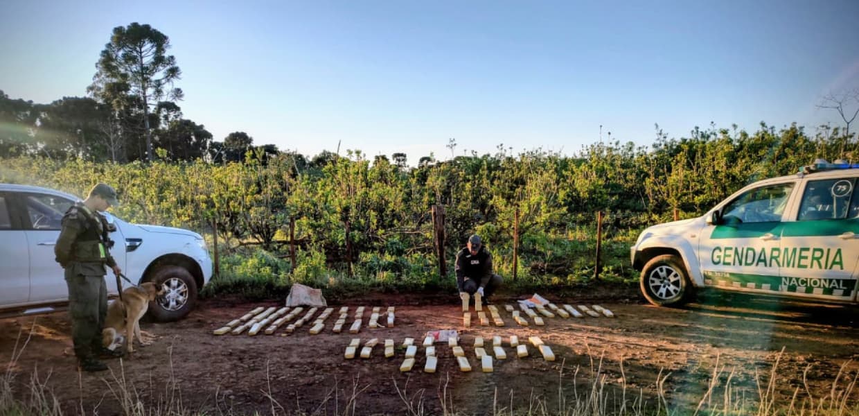 Imagen de portada para Gendarmería decomisó 84 kilos de marihuana en Colonia Delicia