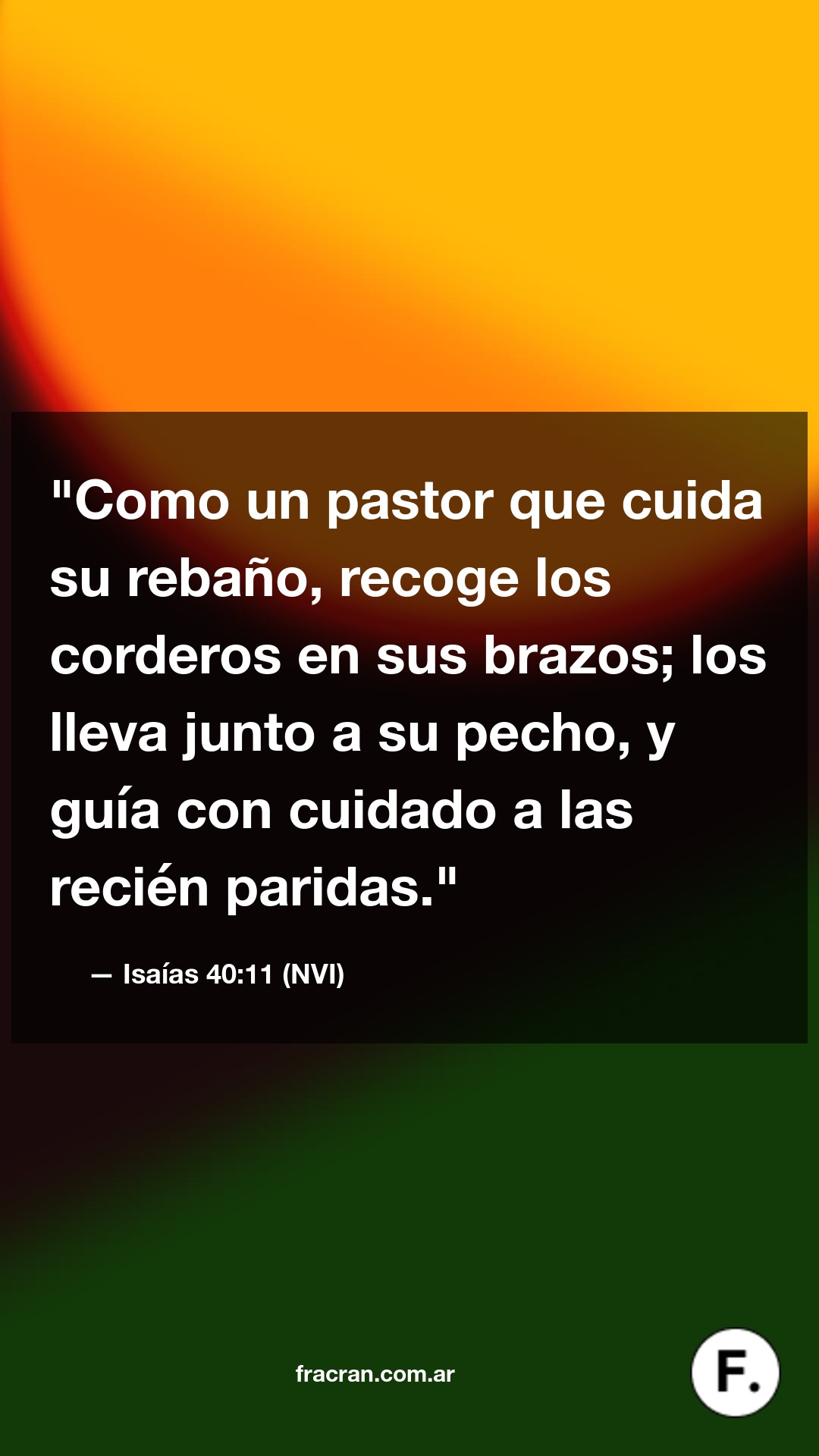 Como un pastor que cuida su rebaño, recoge los corderos en sus brazos; los lleva junto a su pecho, y guía con cuidado a las recién paridas.
