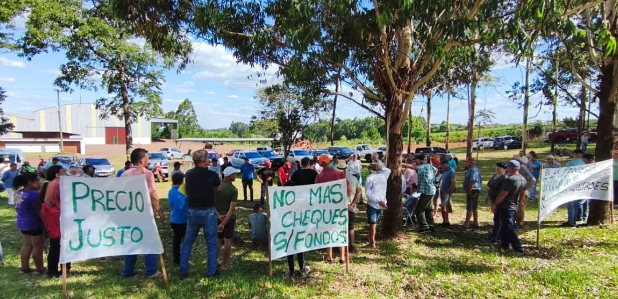 Imagen de portada para Crisis Yerbatera: Productores definen una zafra reducida y piden la emergencia del sector