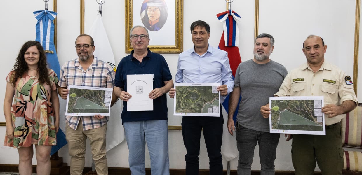 Imagen de portada para Misiones suma 247 hectáreas de selva protegida al Parque Provincial Piñalito Sur