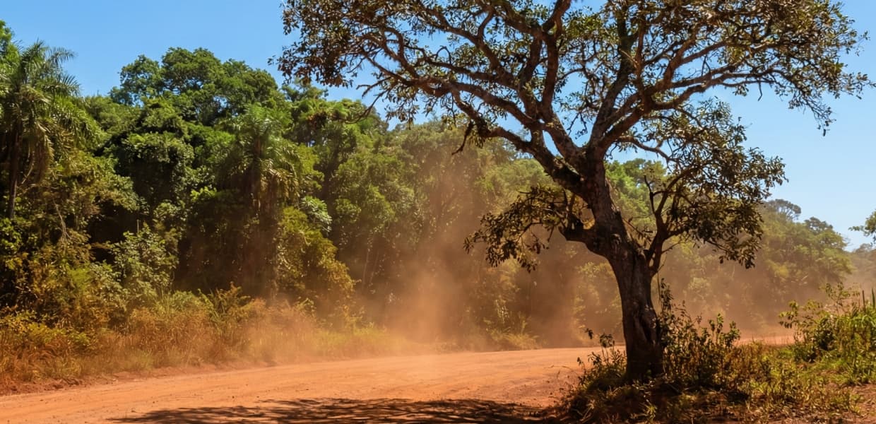 Imagen de portada para Ola de calor en Misiones: Fracrán se prepara para un fin de semana con temperaturas de hasta 38°C