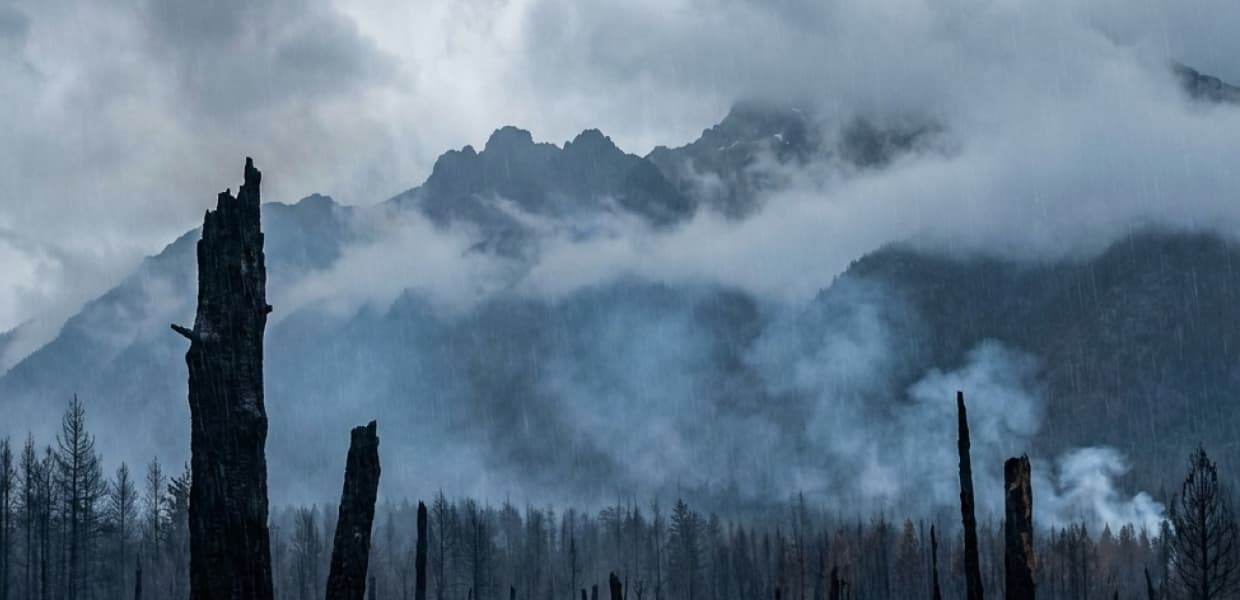 Imagen de portada para Patagonia bajo fuego y agua: Crónica de una tragedia recurrente
